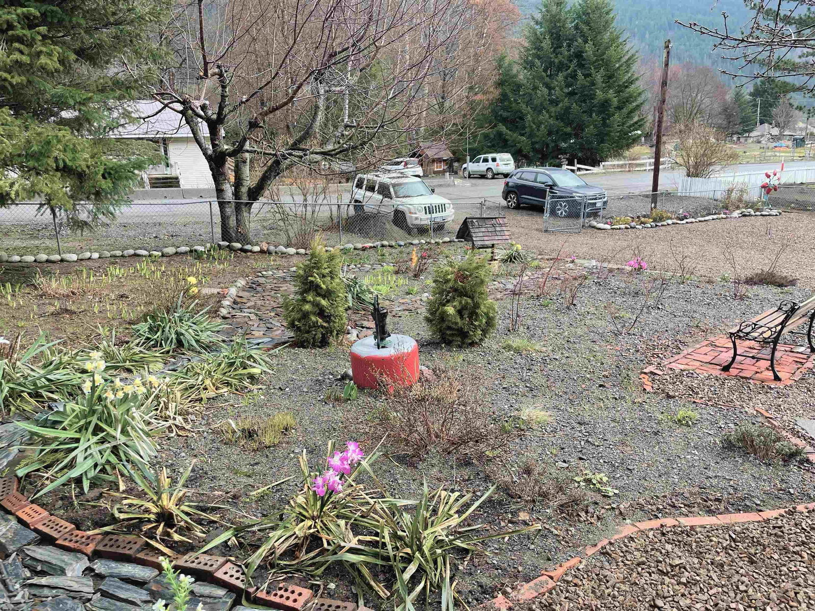 Listing Image 20