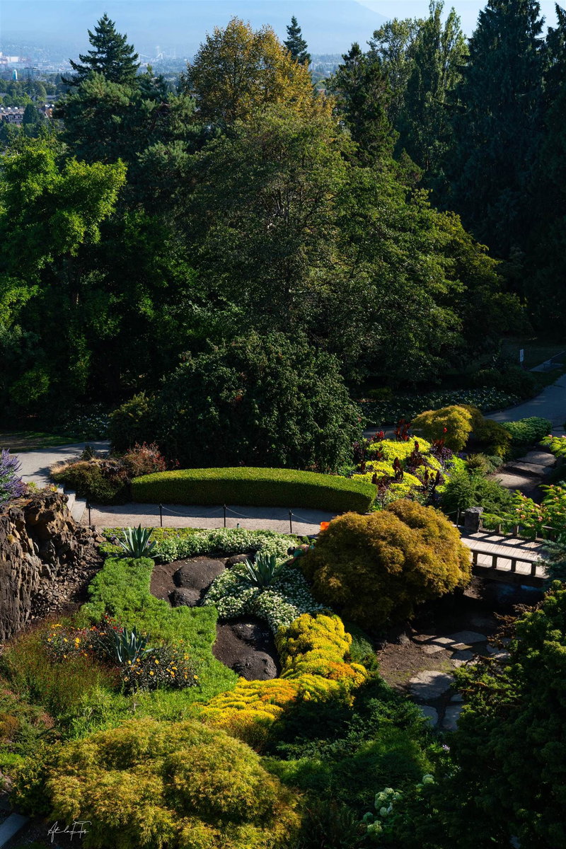 103 - 918 32nd Avenue, Vancouver, V5Z 2K2 | Image 3