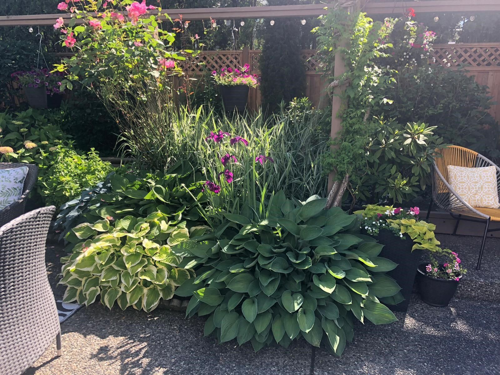 Listing Image 34