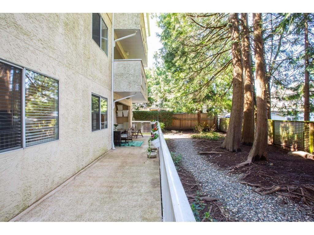 Listing Image 22