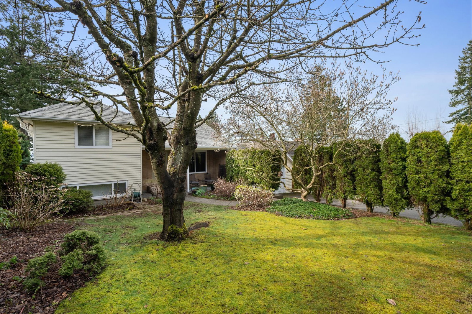 Listing Image 34