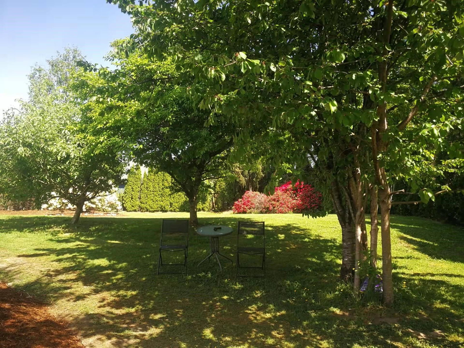 Listing Image 32