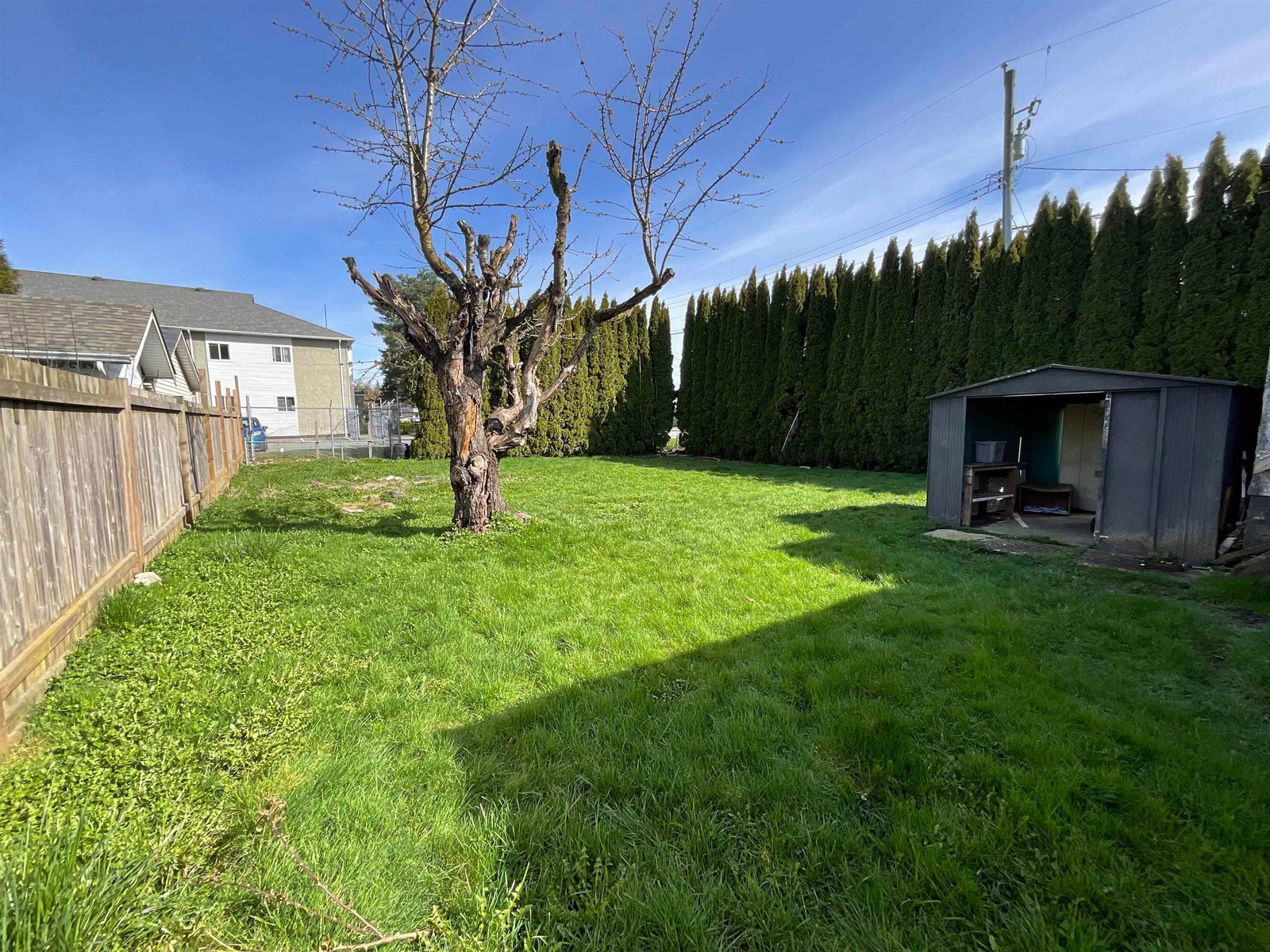 Listing Image 13
