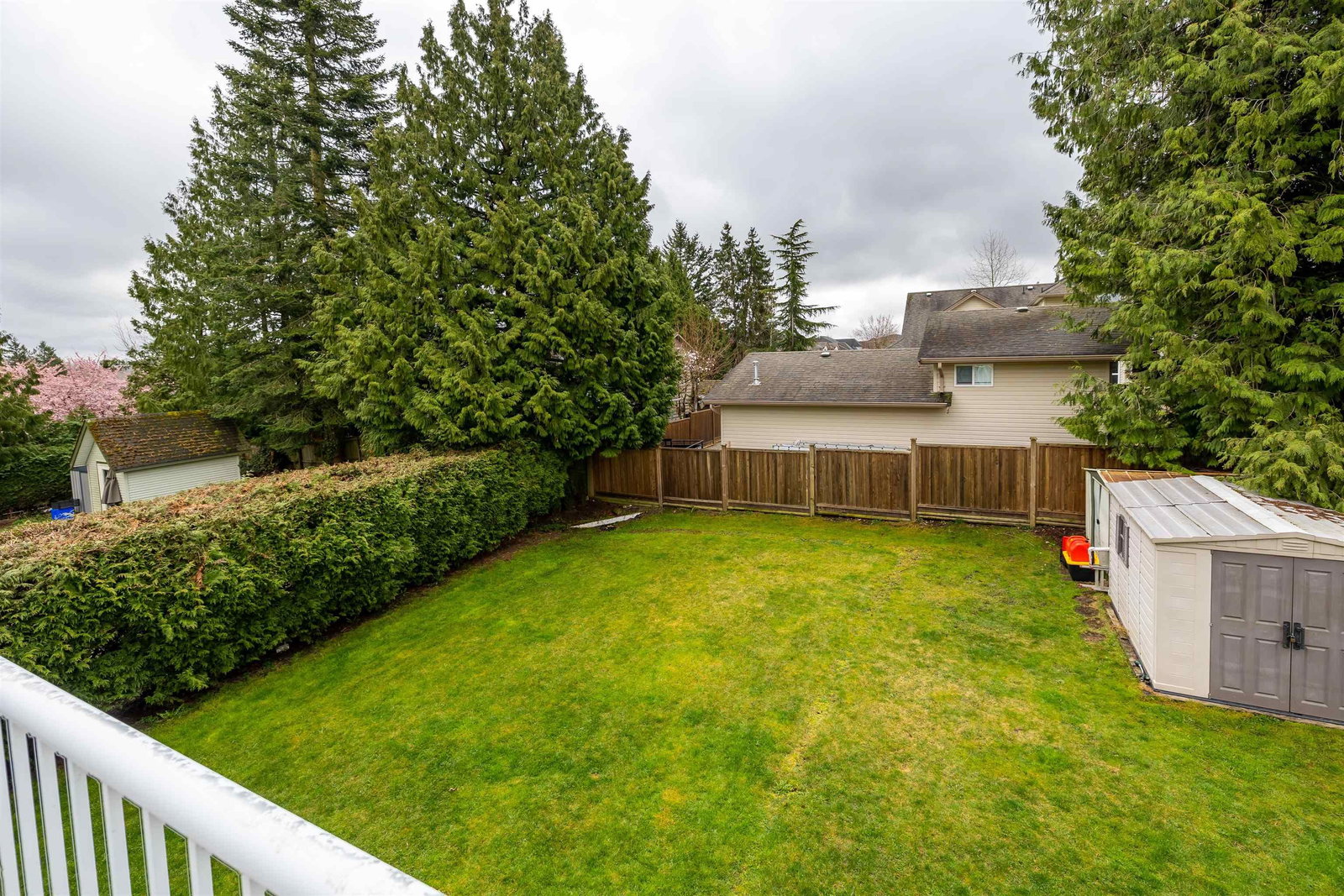 Listing Image 6