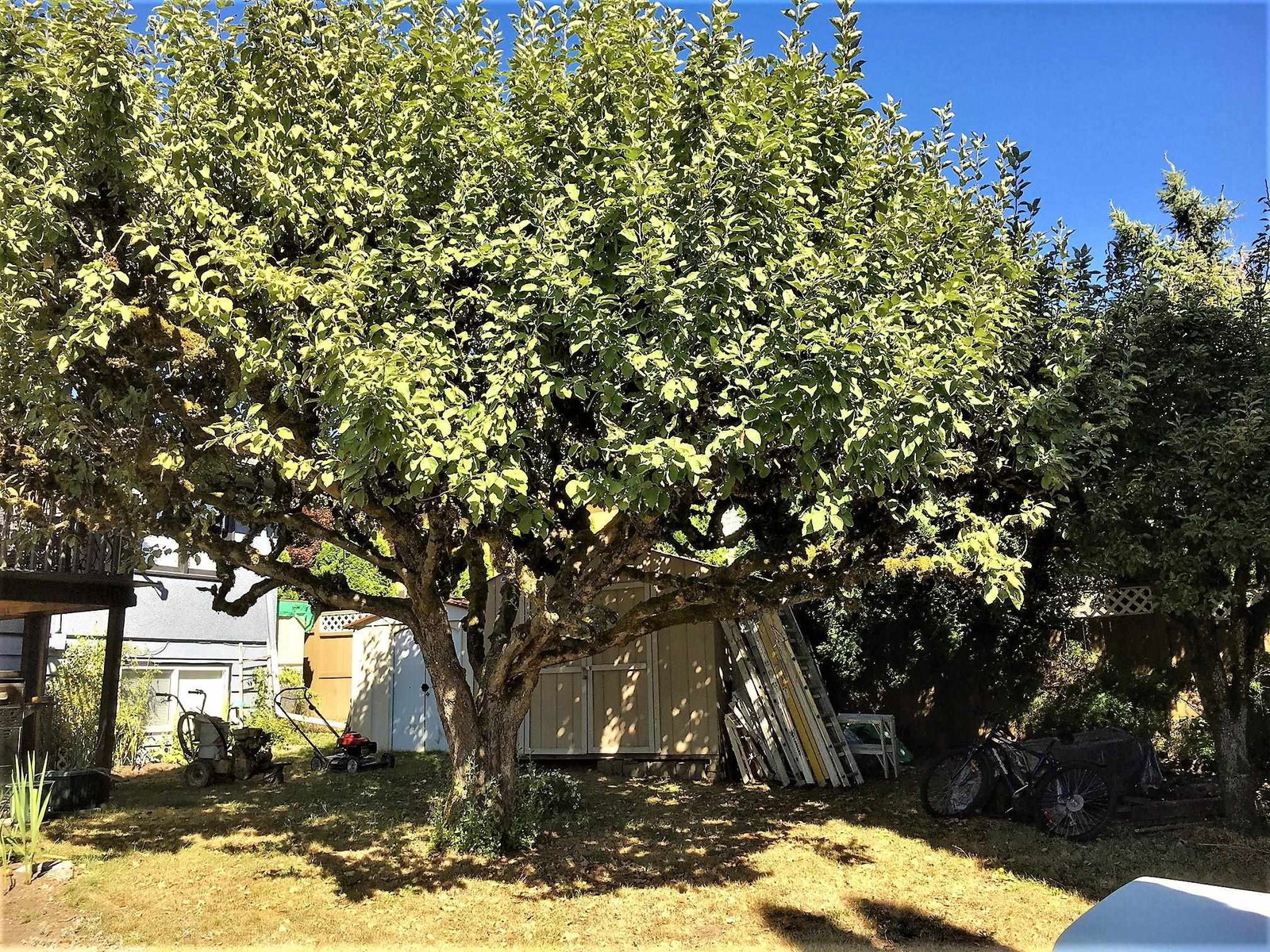 Listing Image 16