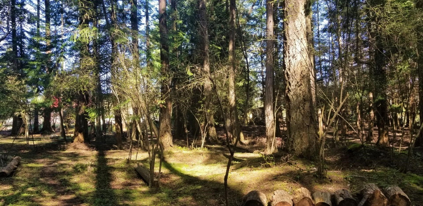 Listing Image 32