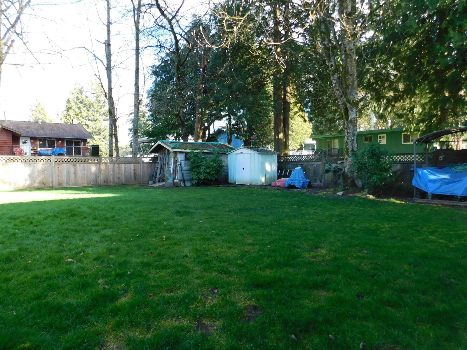 Listing Image 19