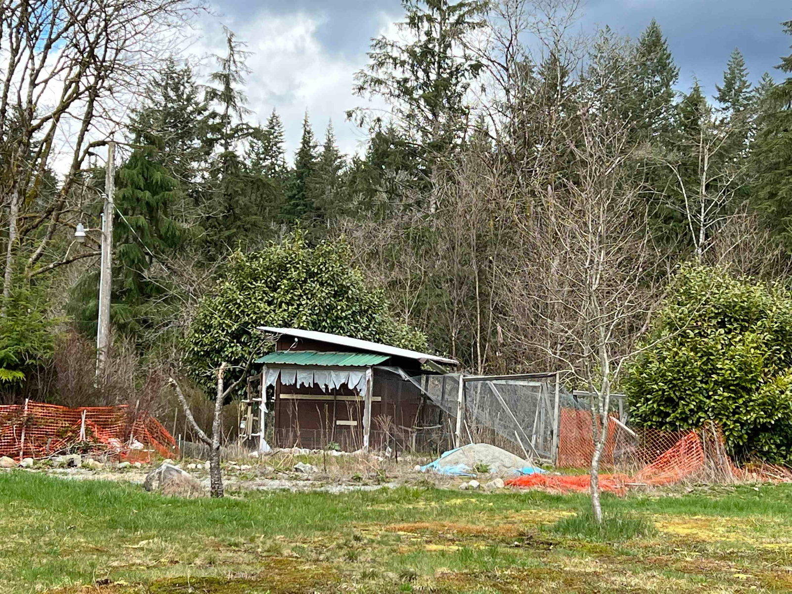 Listing Image 11