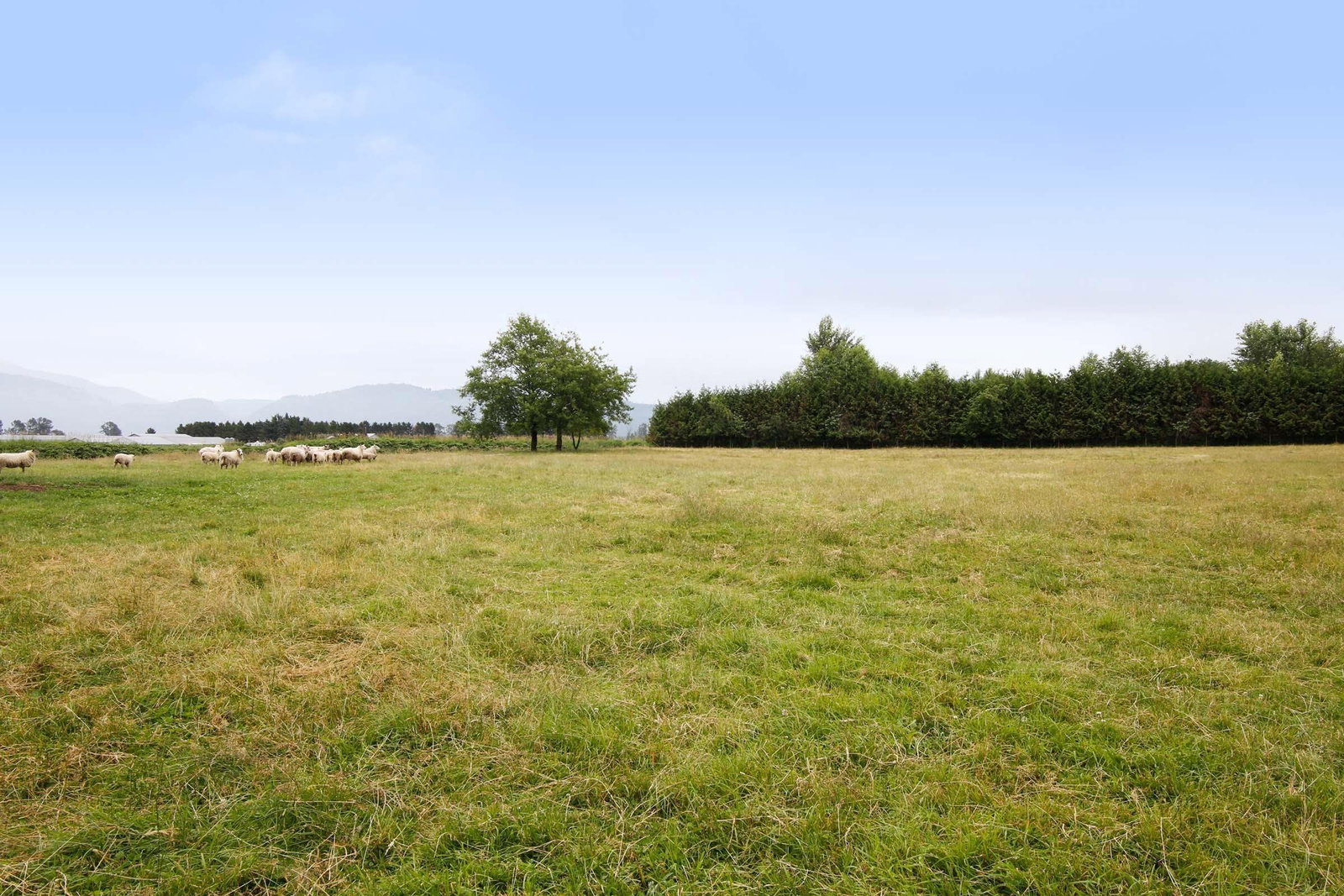 Listing Image 24