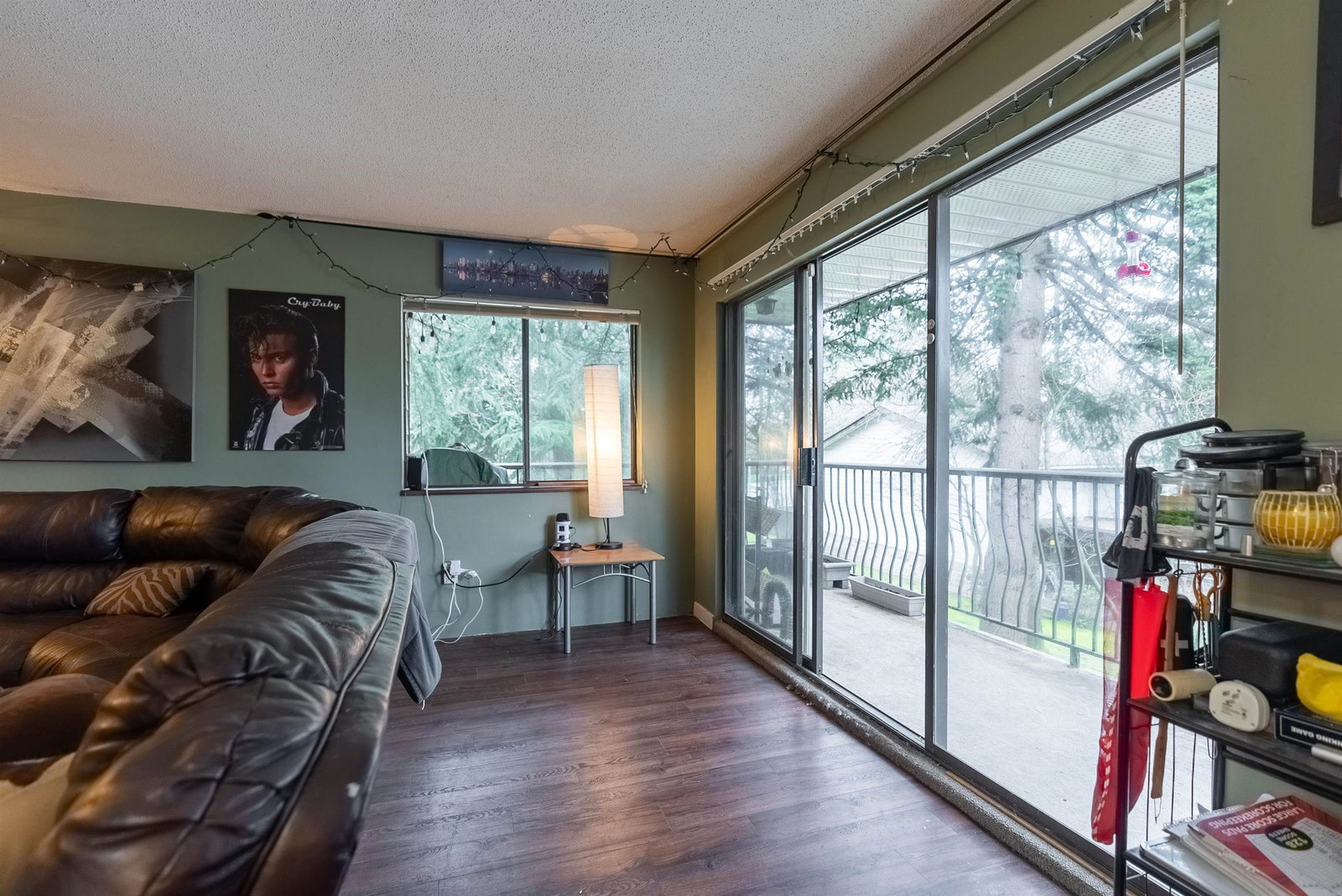 Listing Image 21