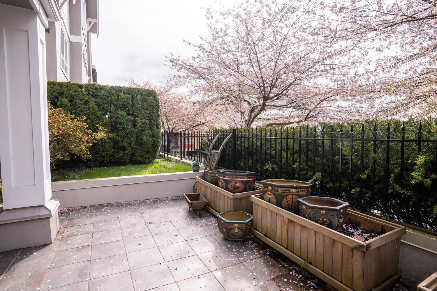 Listing Image 21