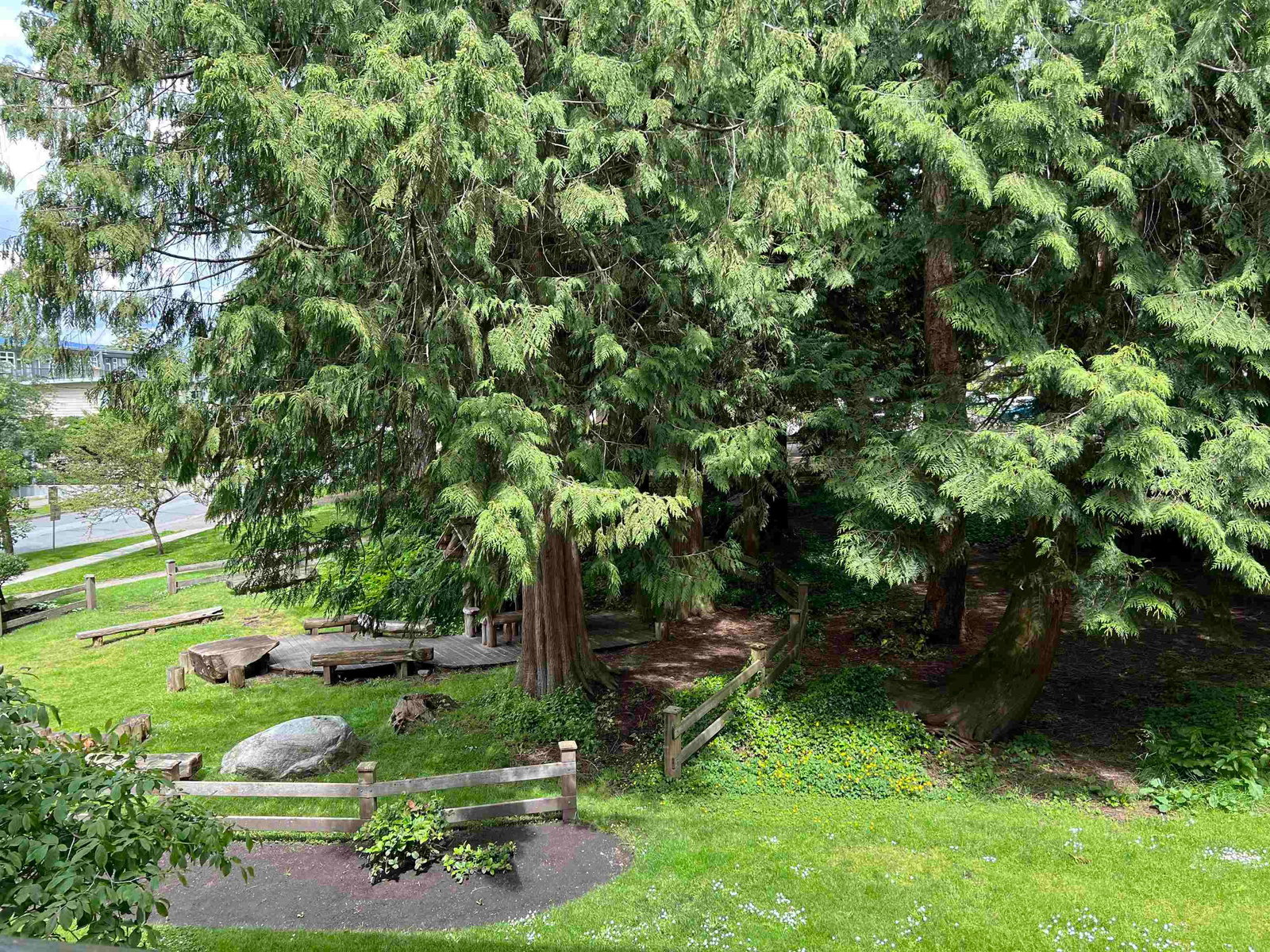 Listing Image 19