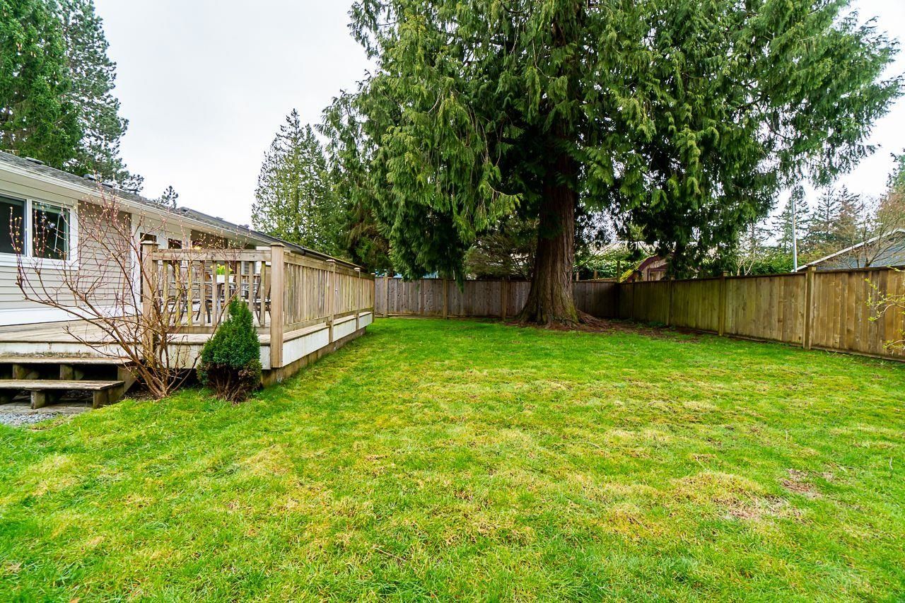 Listing Image 37