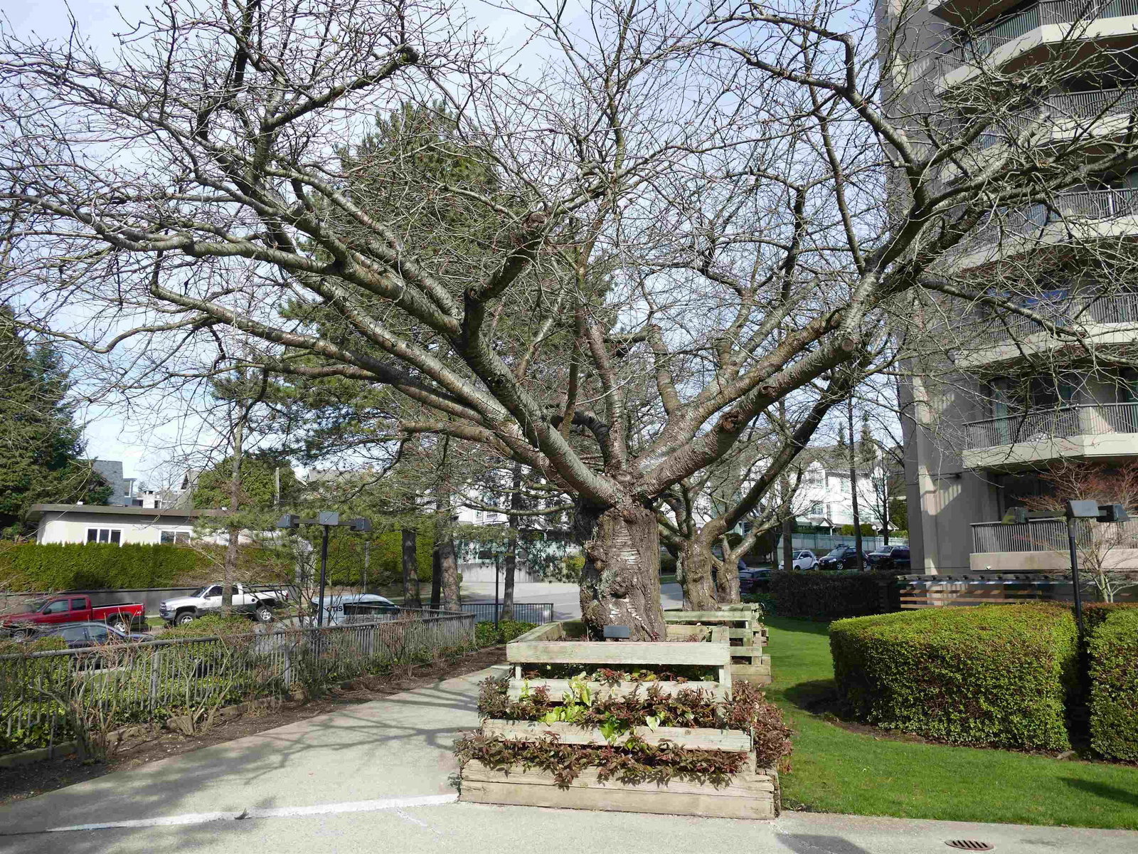 Listing Image 18