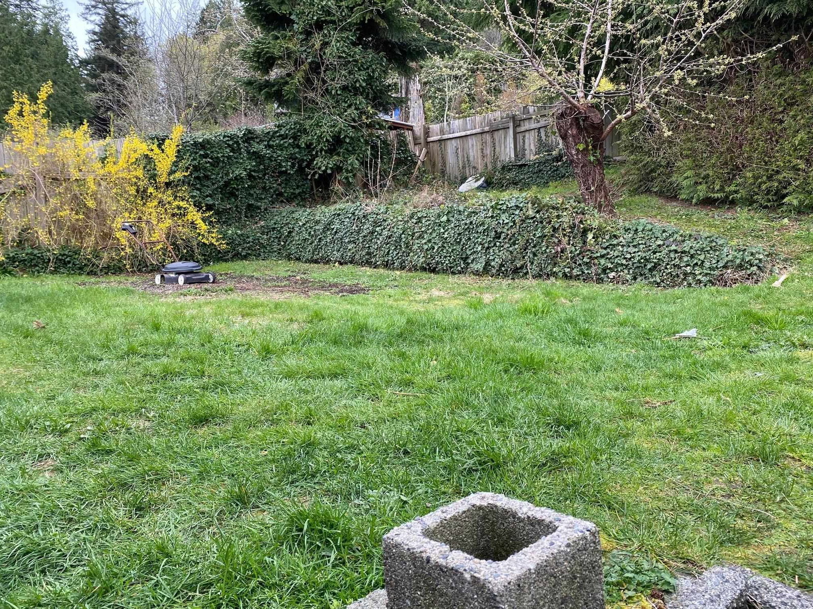 Listing Image 39