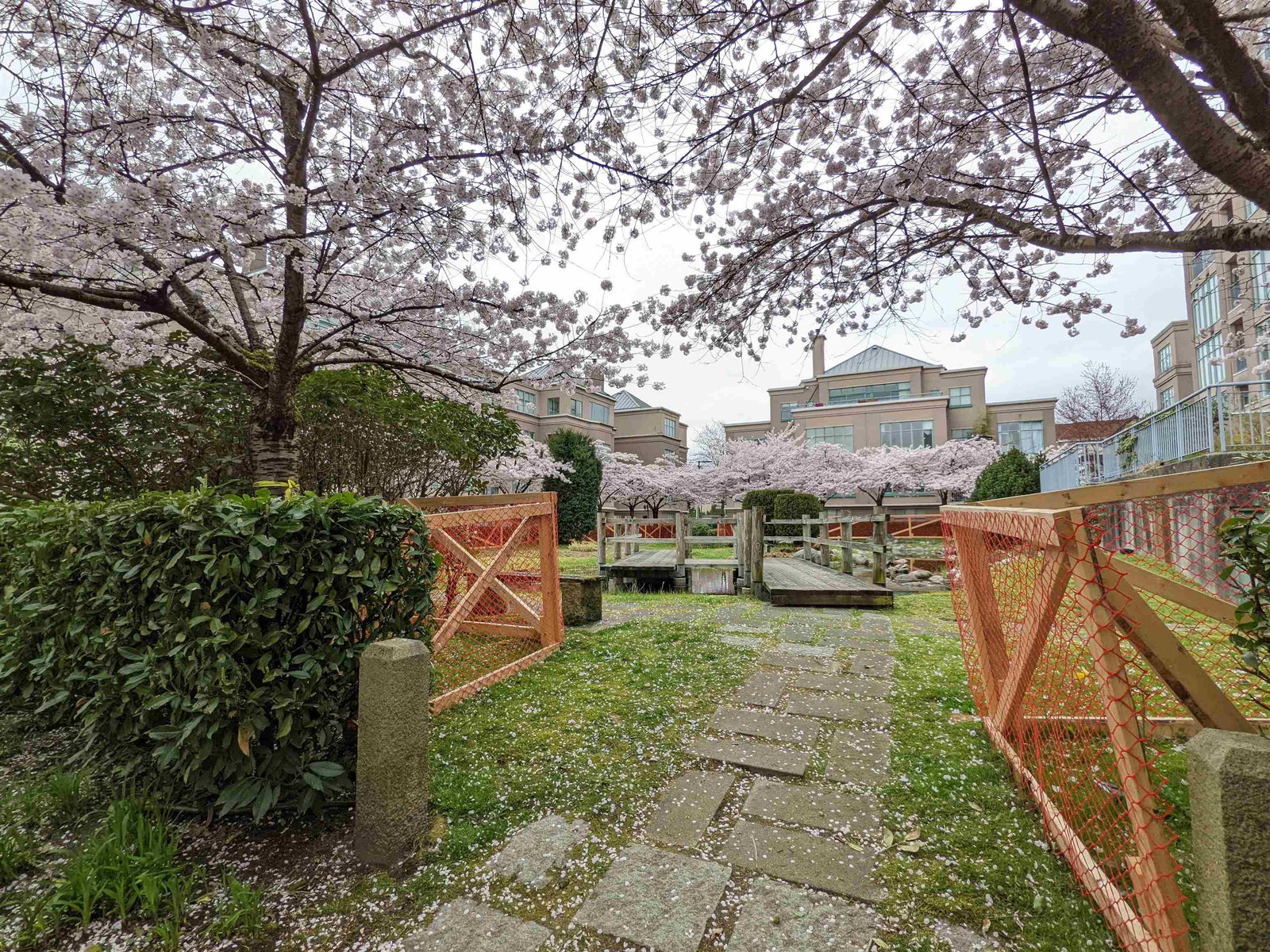 Listing Image 14