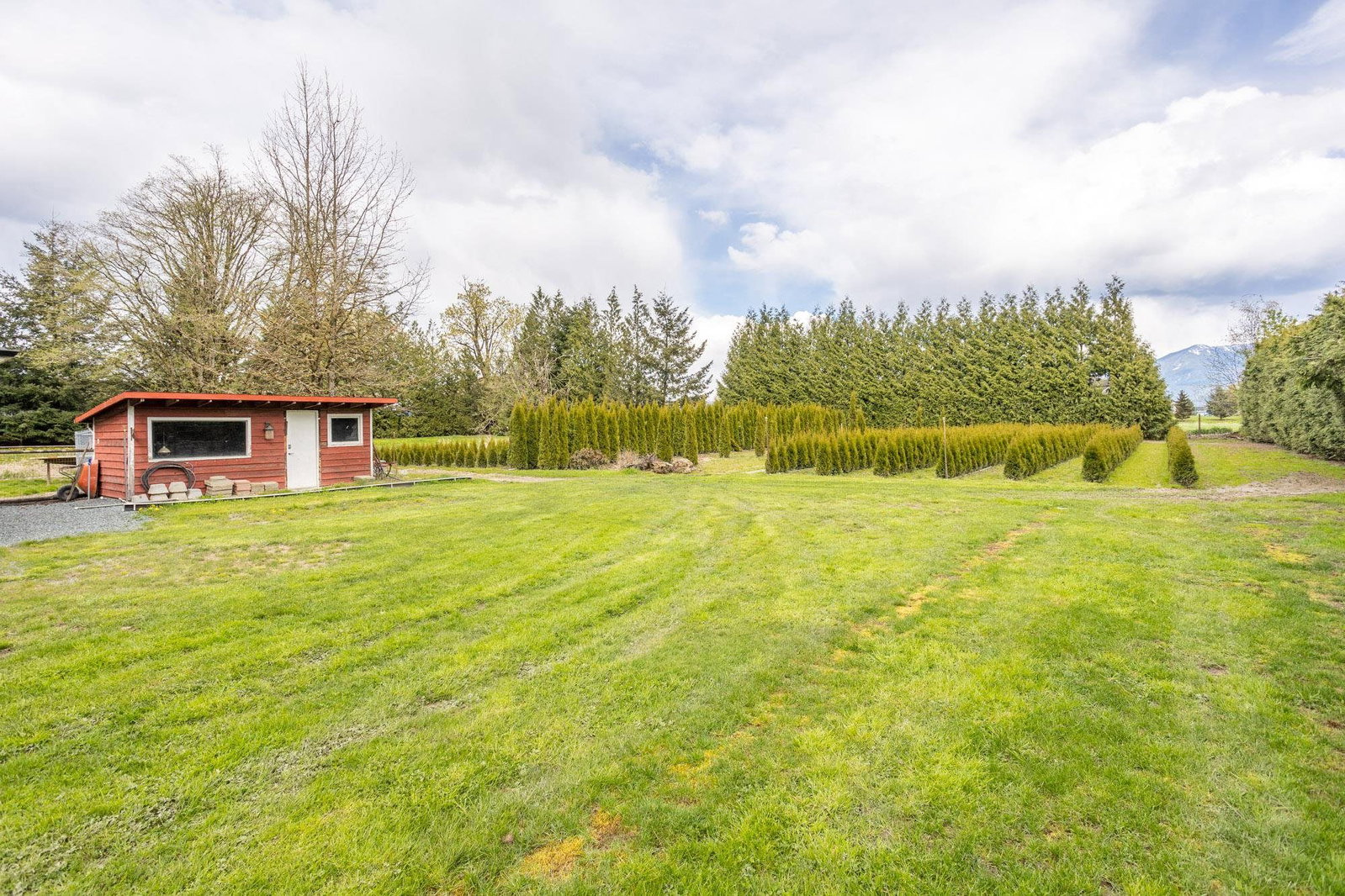 Listing Image 31