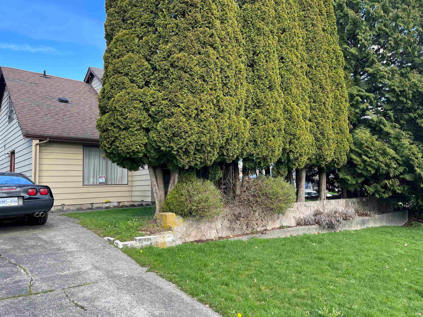 Listing Image 32