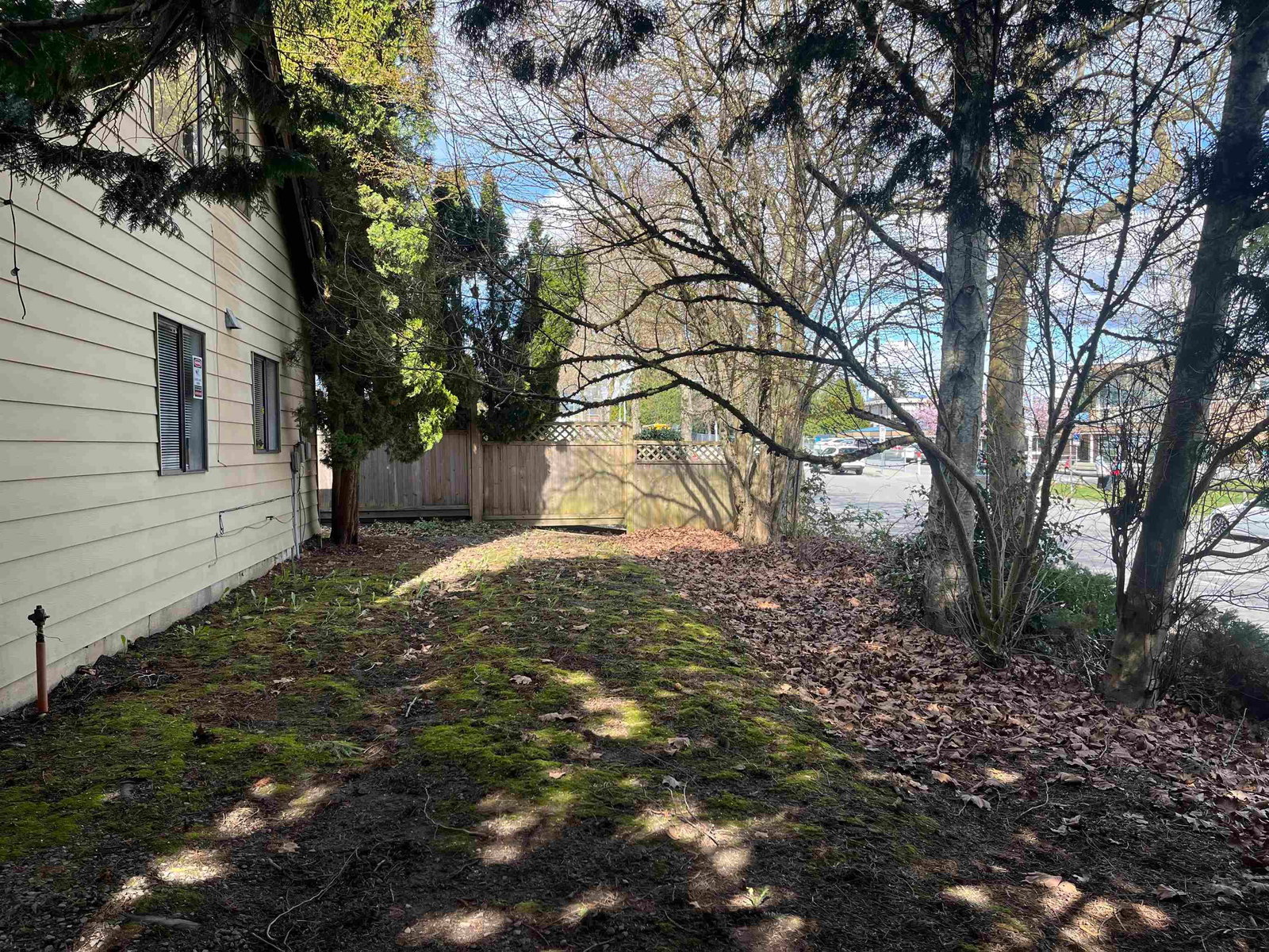 Listing Image 33
