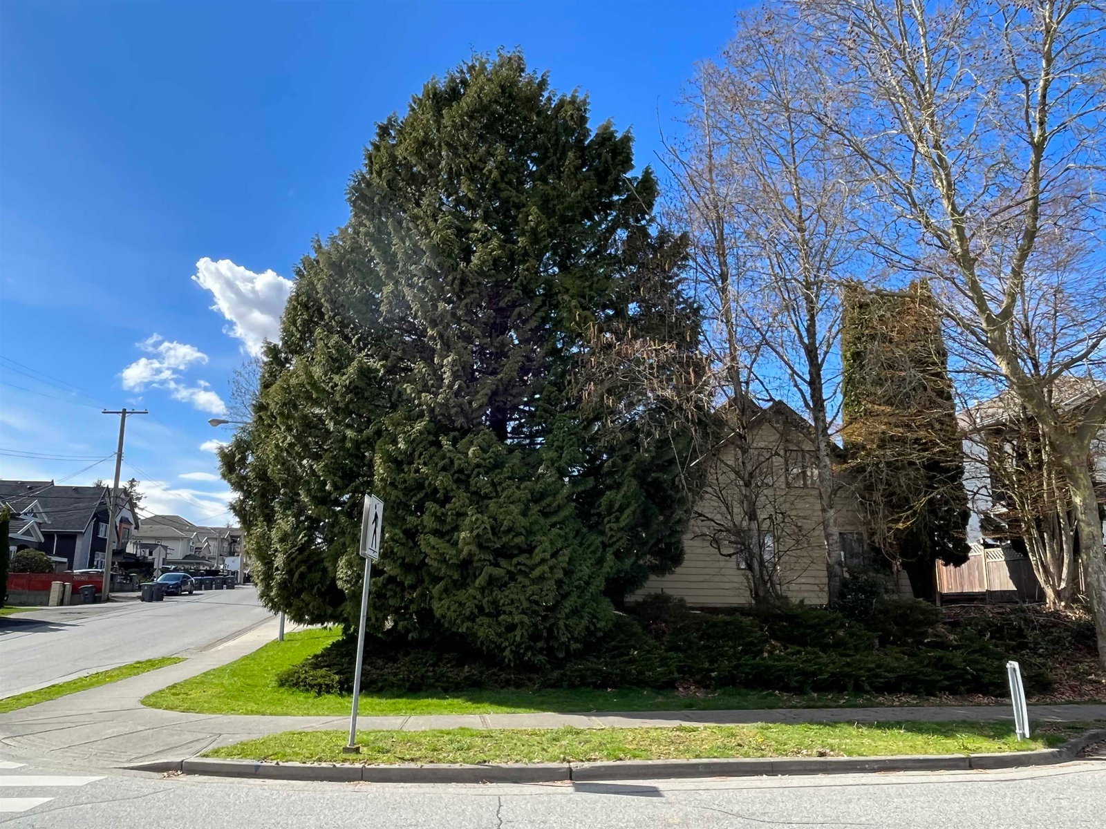 Listing Image 34