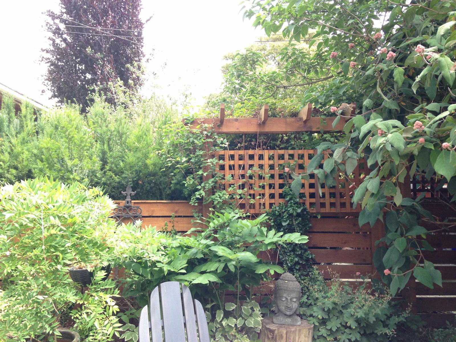 Listing Image 36