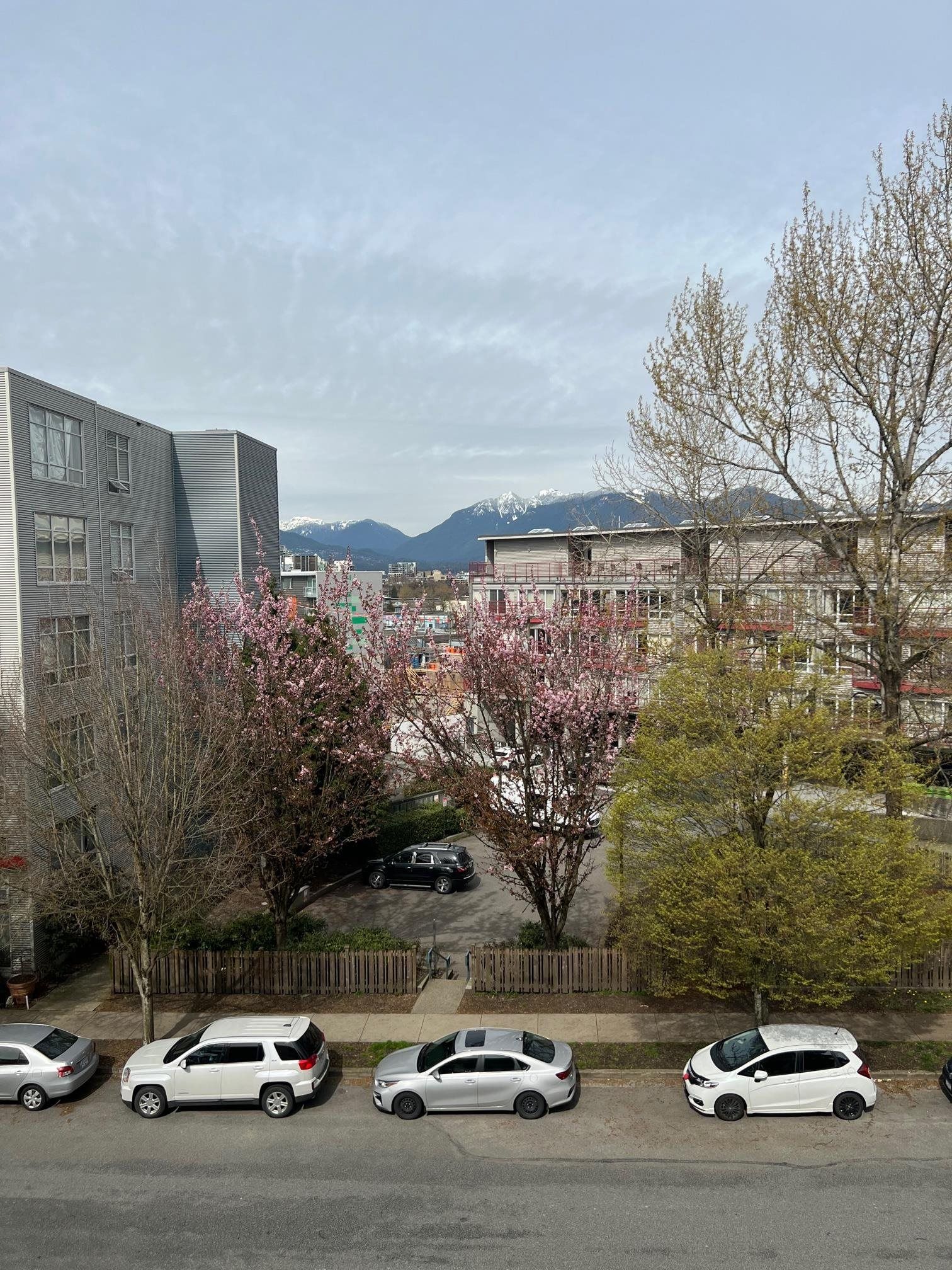 Listing Image 6
