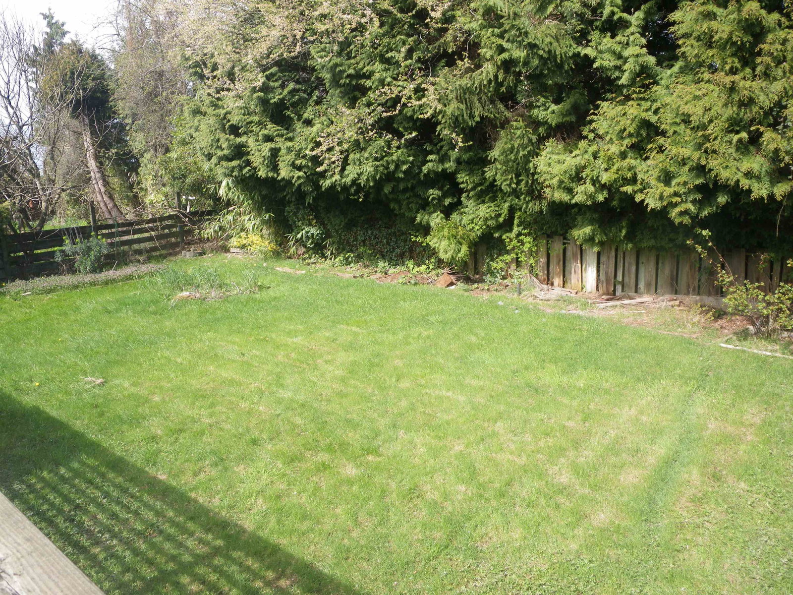 Listing Image 20