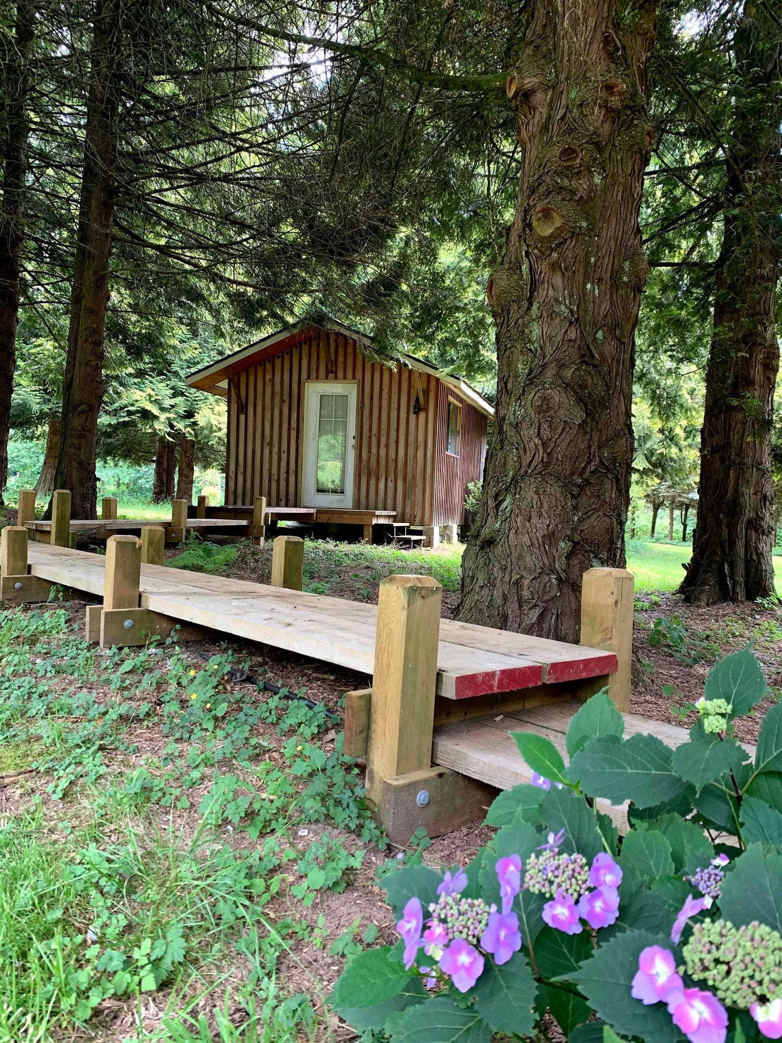 Listing Image 11