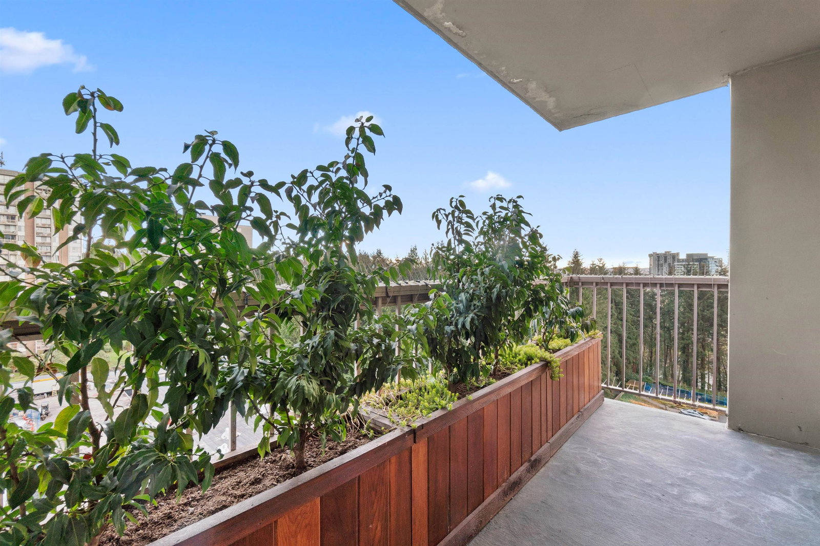 Listing Image 10