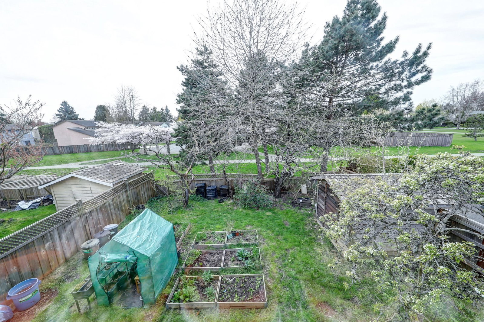 Listing Image 29