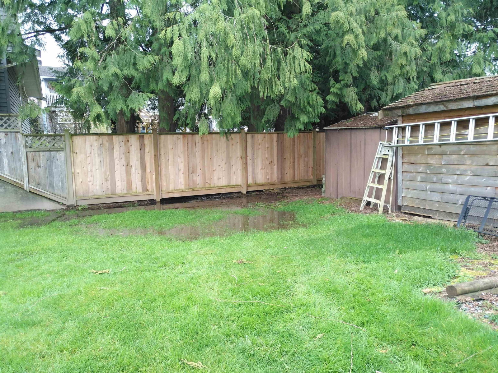 Listing Image 28