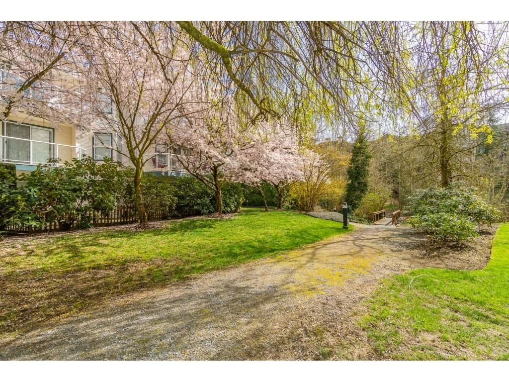 Listing Image 37
