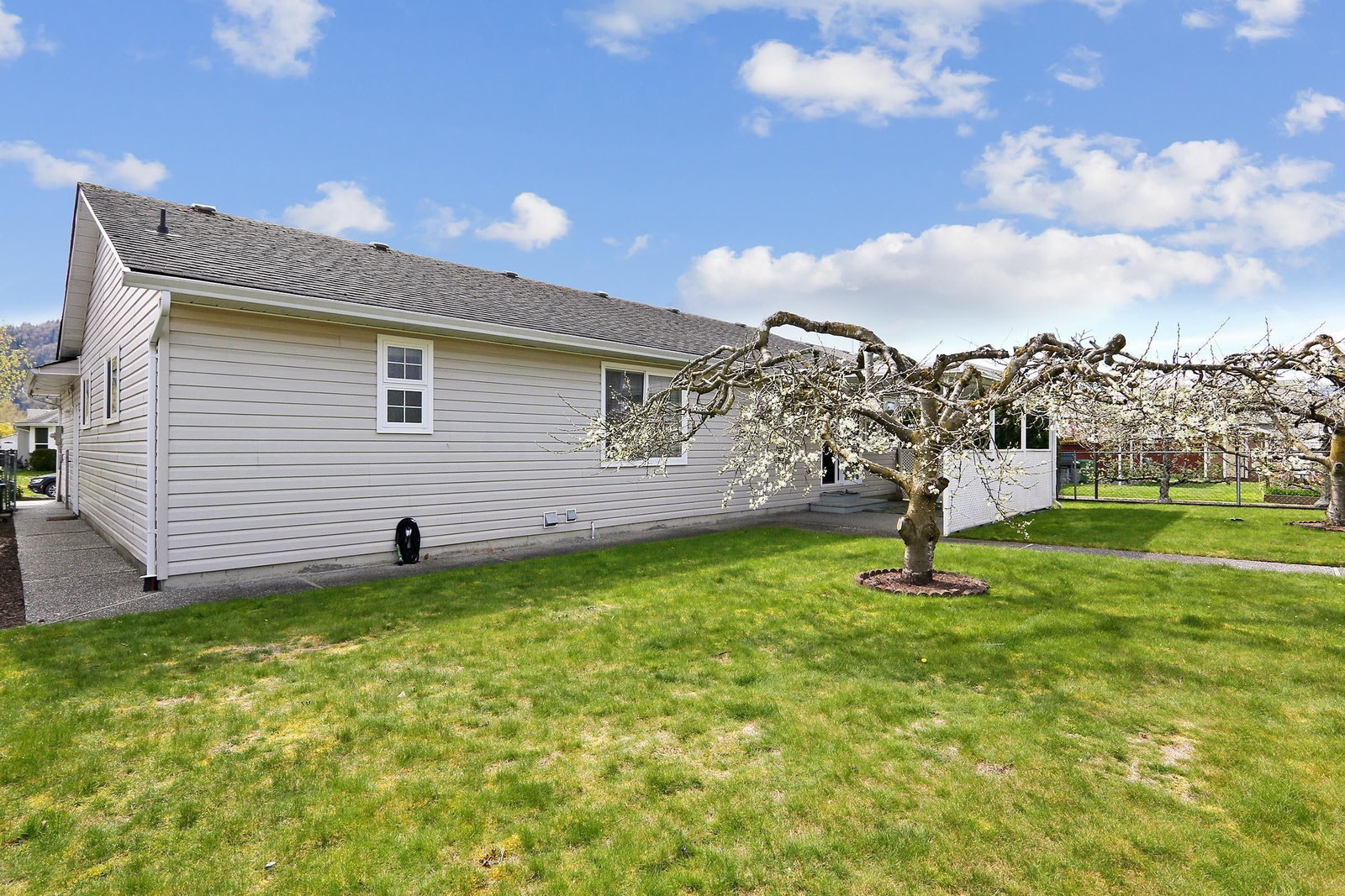 Listing Image 20