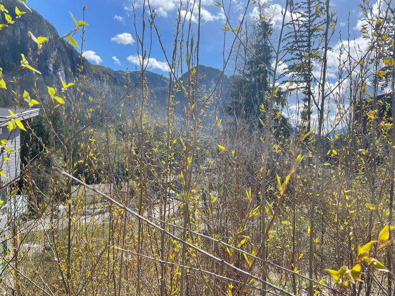 2216 Windsail Place, Squamish, V8B 0T6 | Image 2