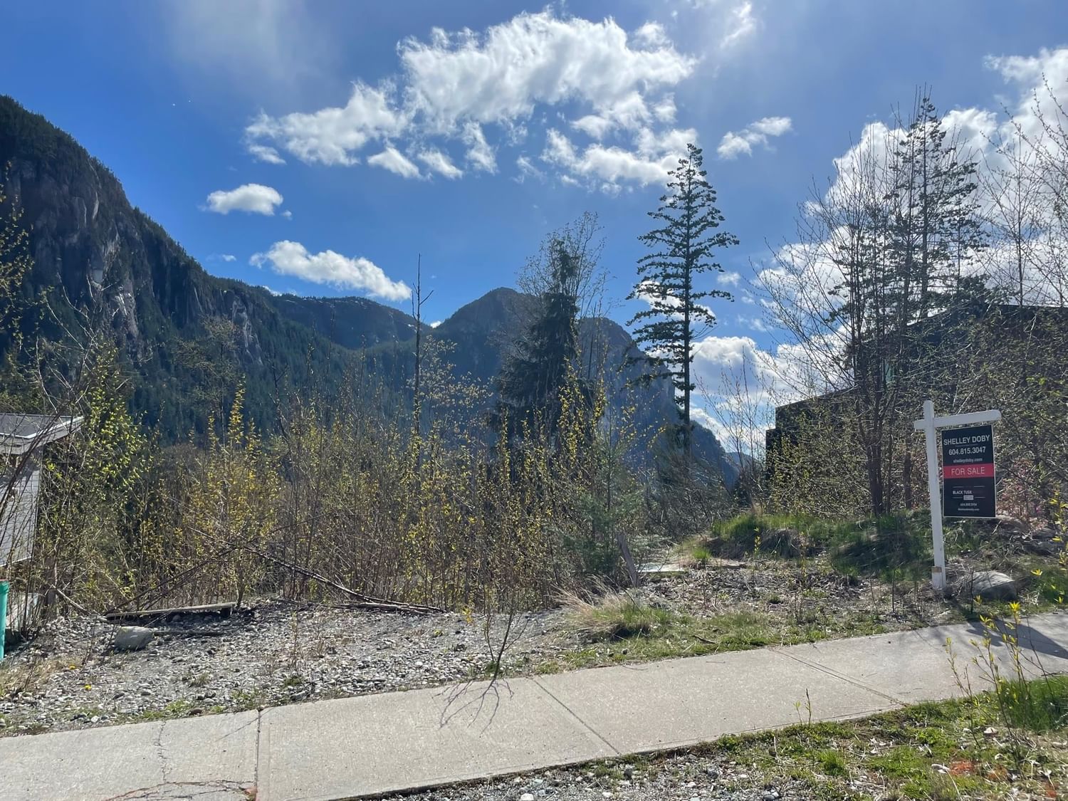 Listing Image 4