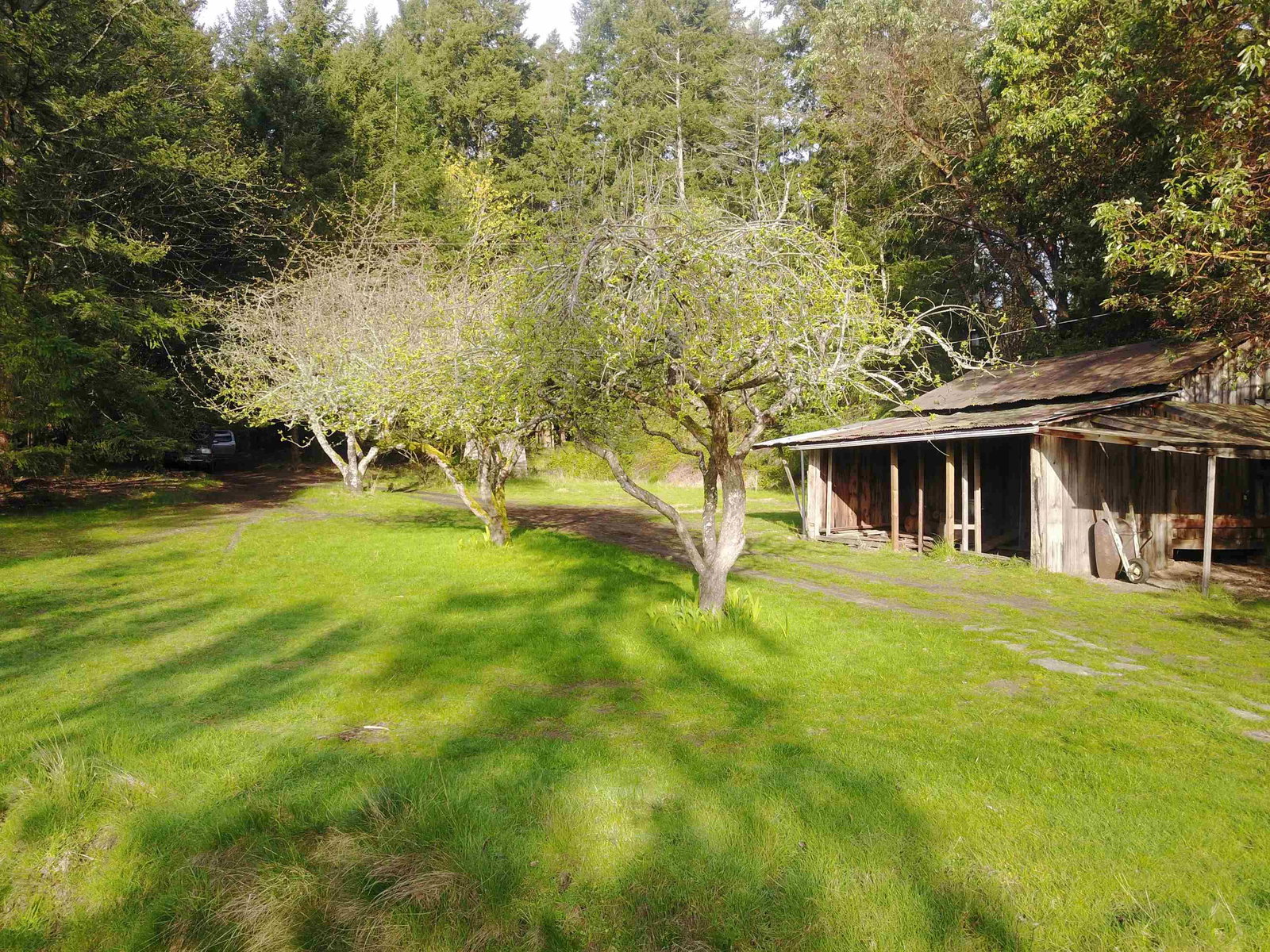 Listing Image 24