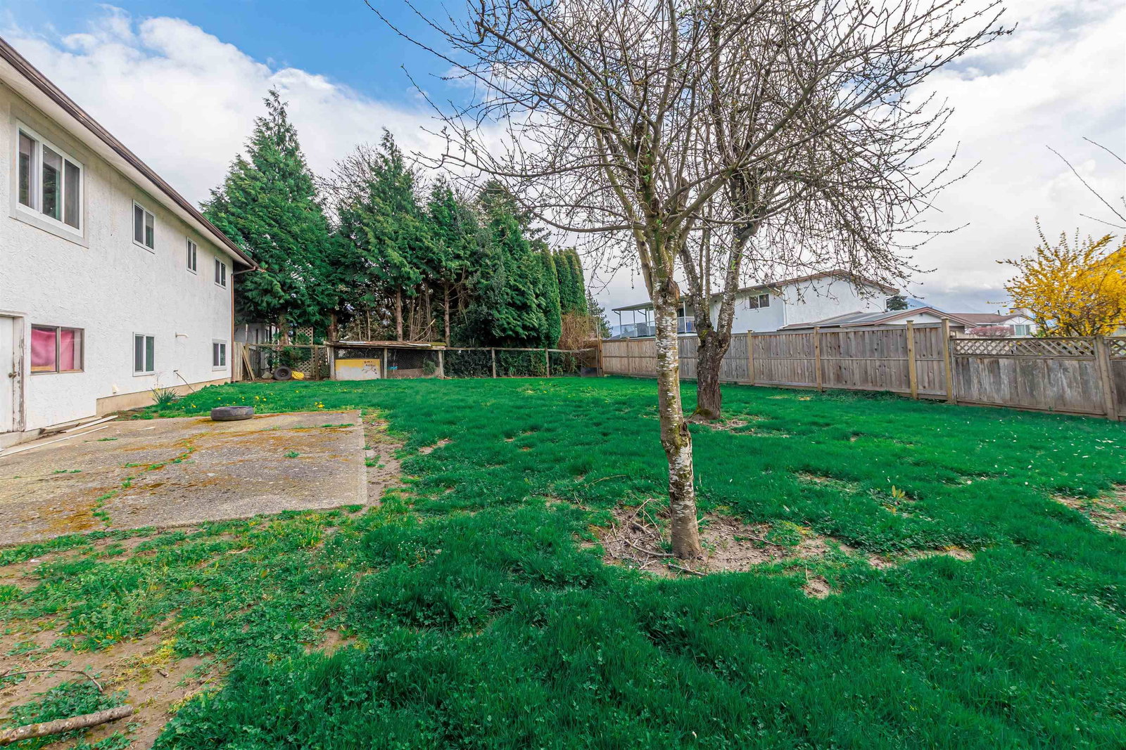 Listing Image 6