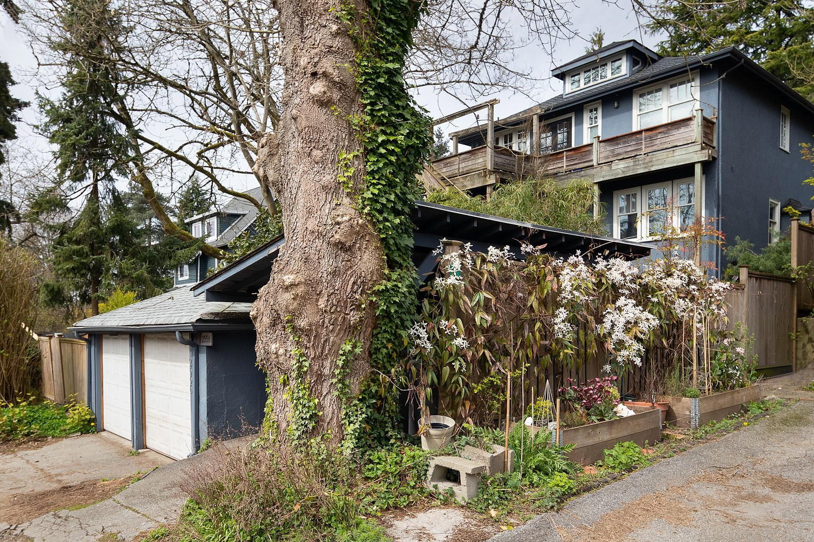 Listing Image 15