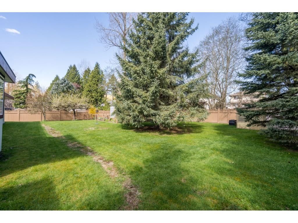 Listing Image 32