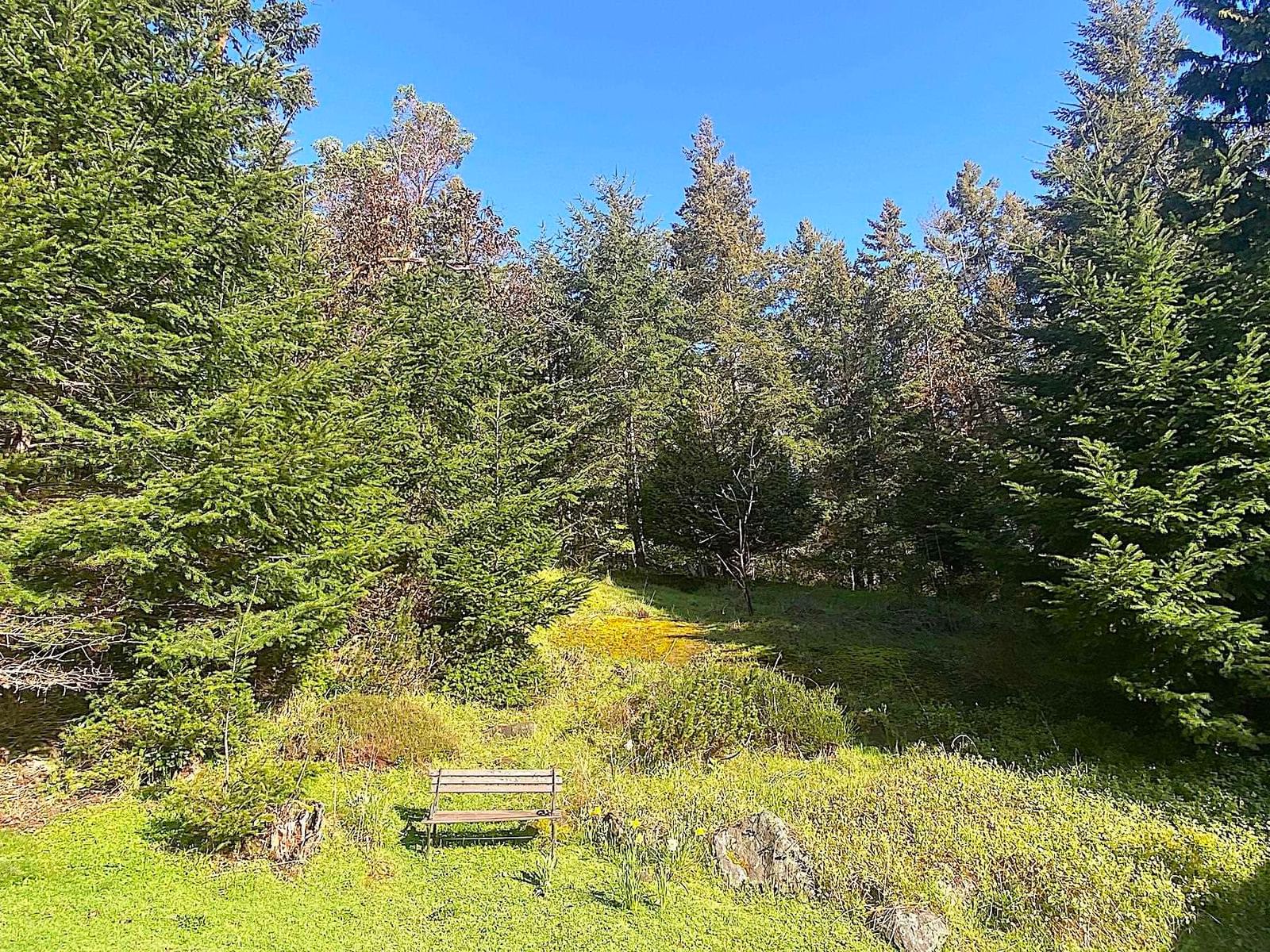 Listing Image 37