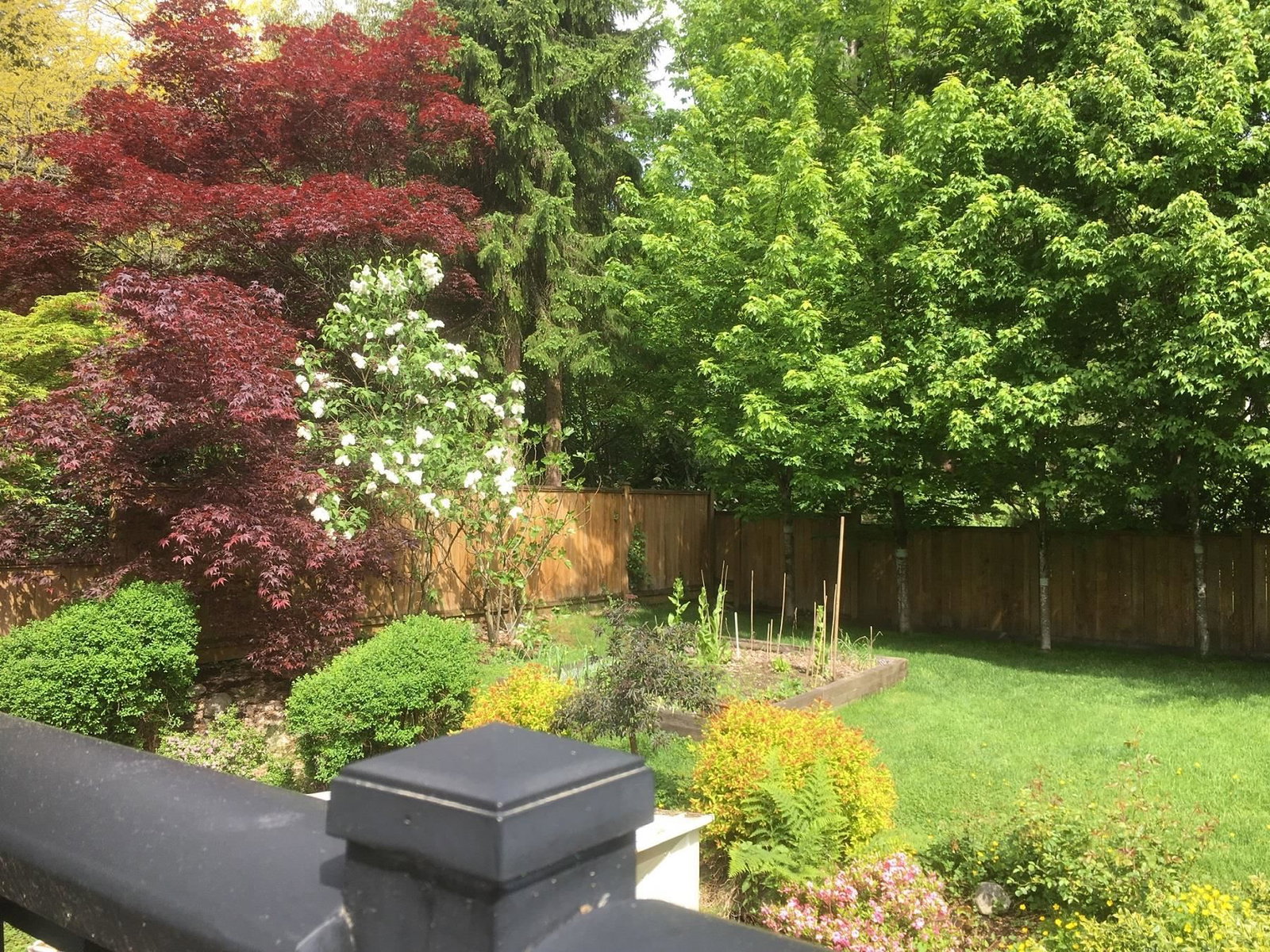 Listing Image 31