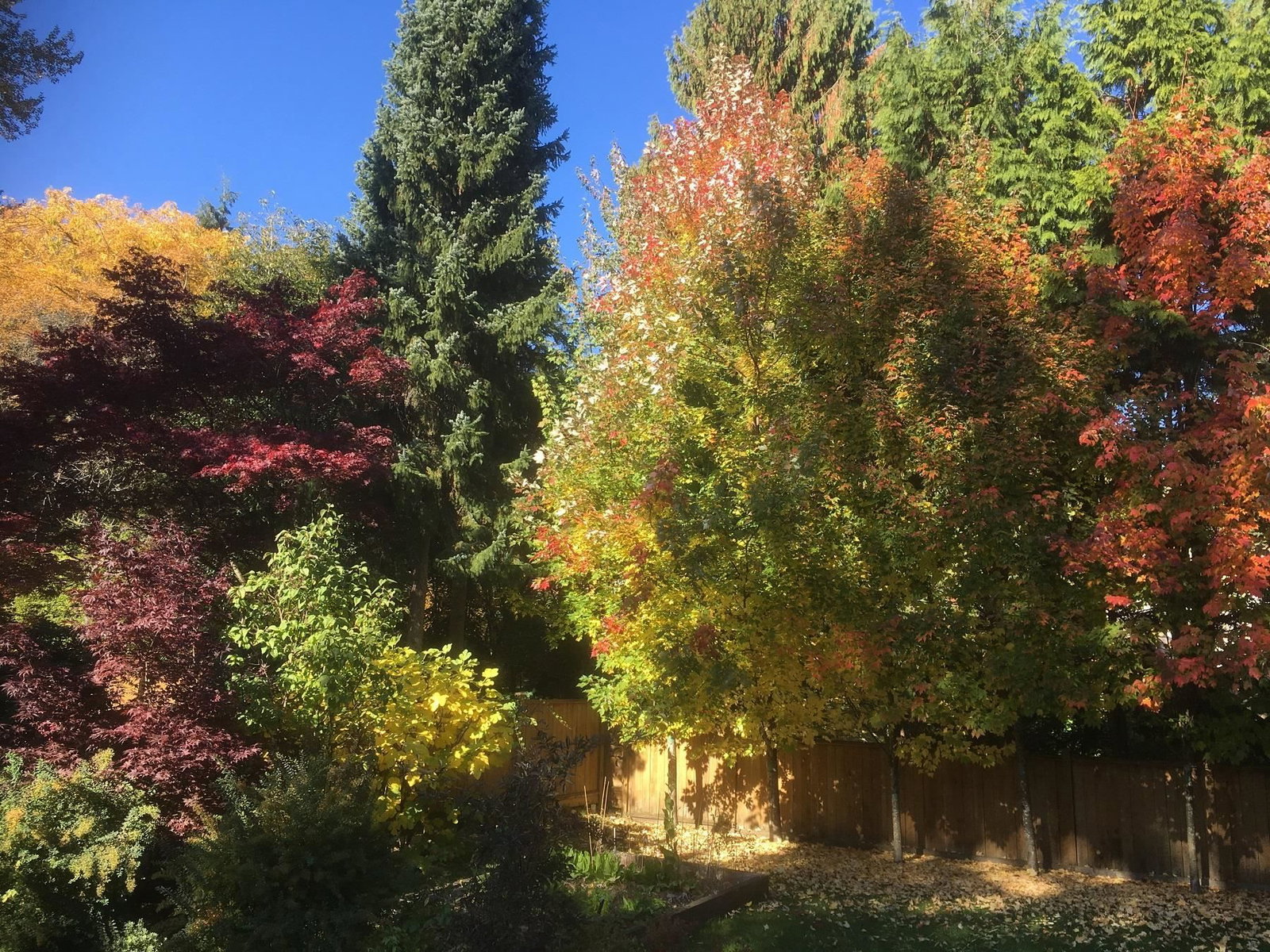 Listing Image 32