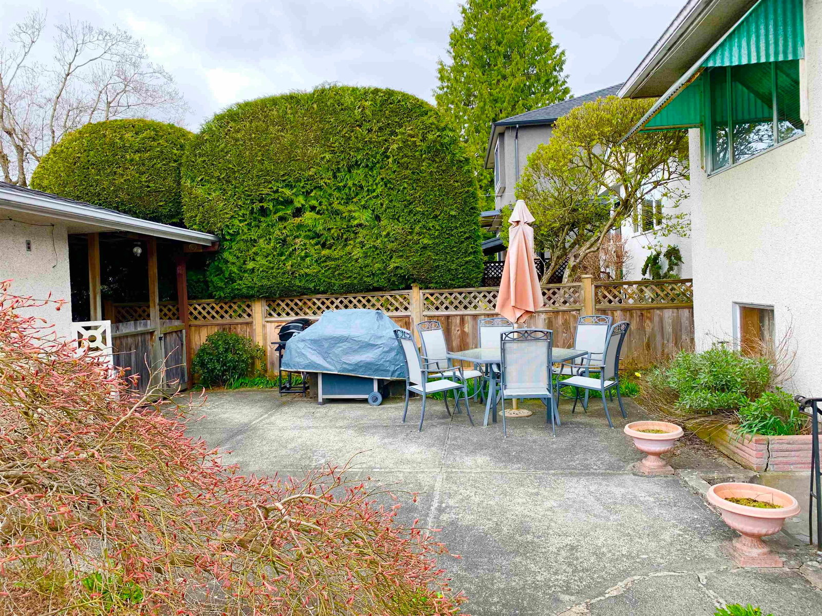 Listing Image 14