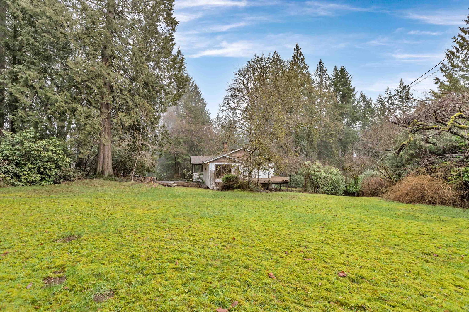 Listing Image 25