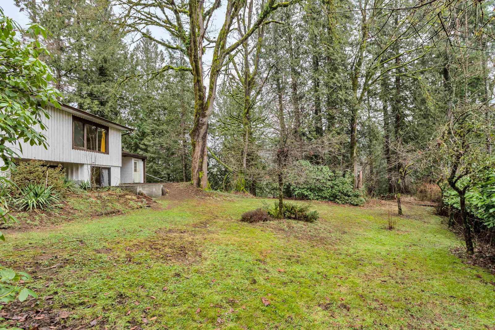 Listing Image 27