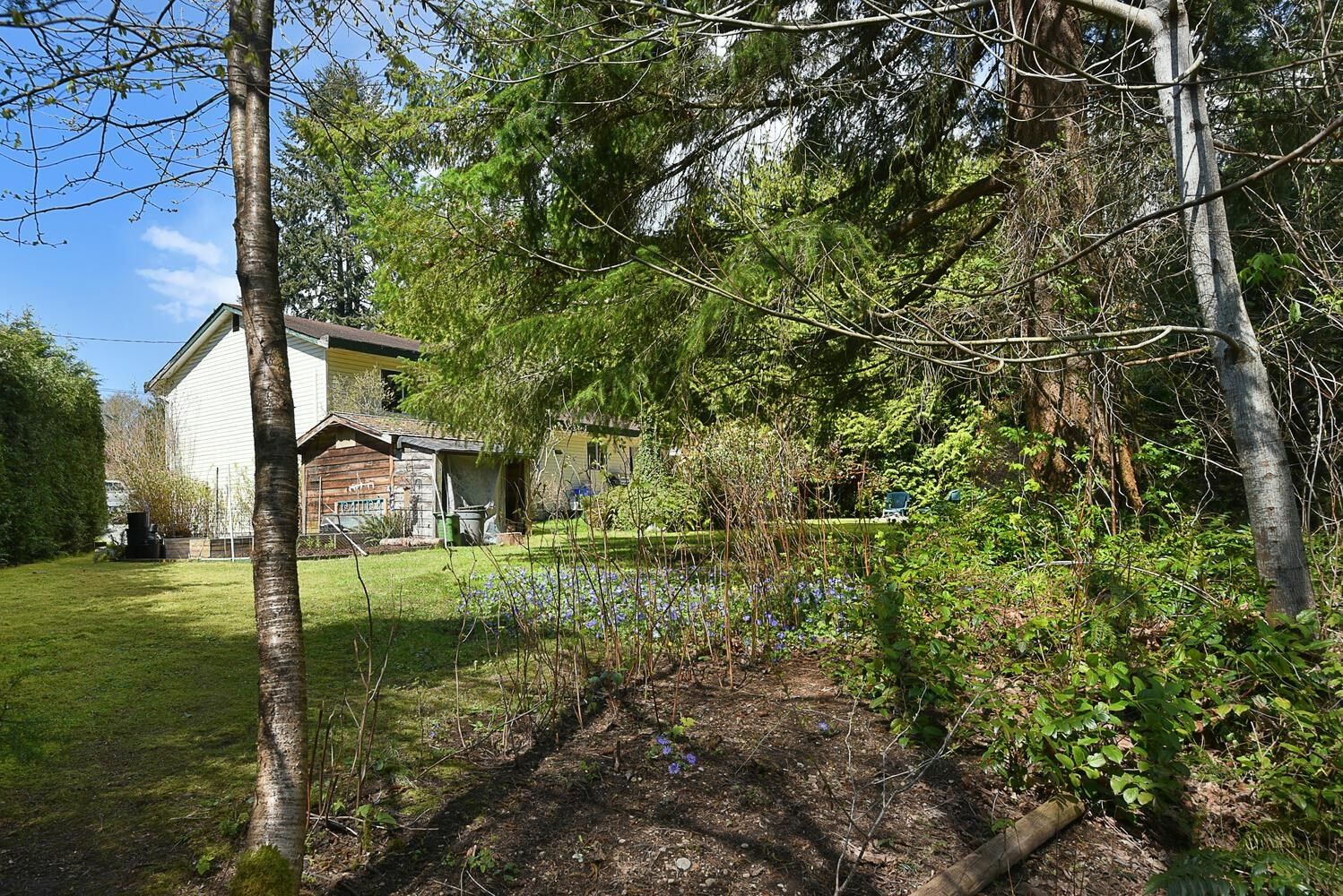 Listing Image 30