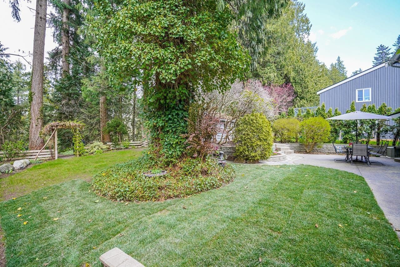 Listing Image 31