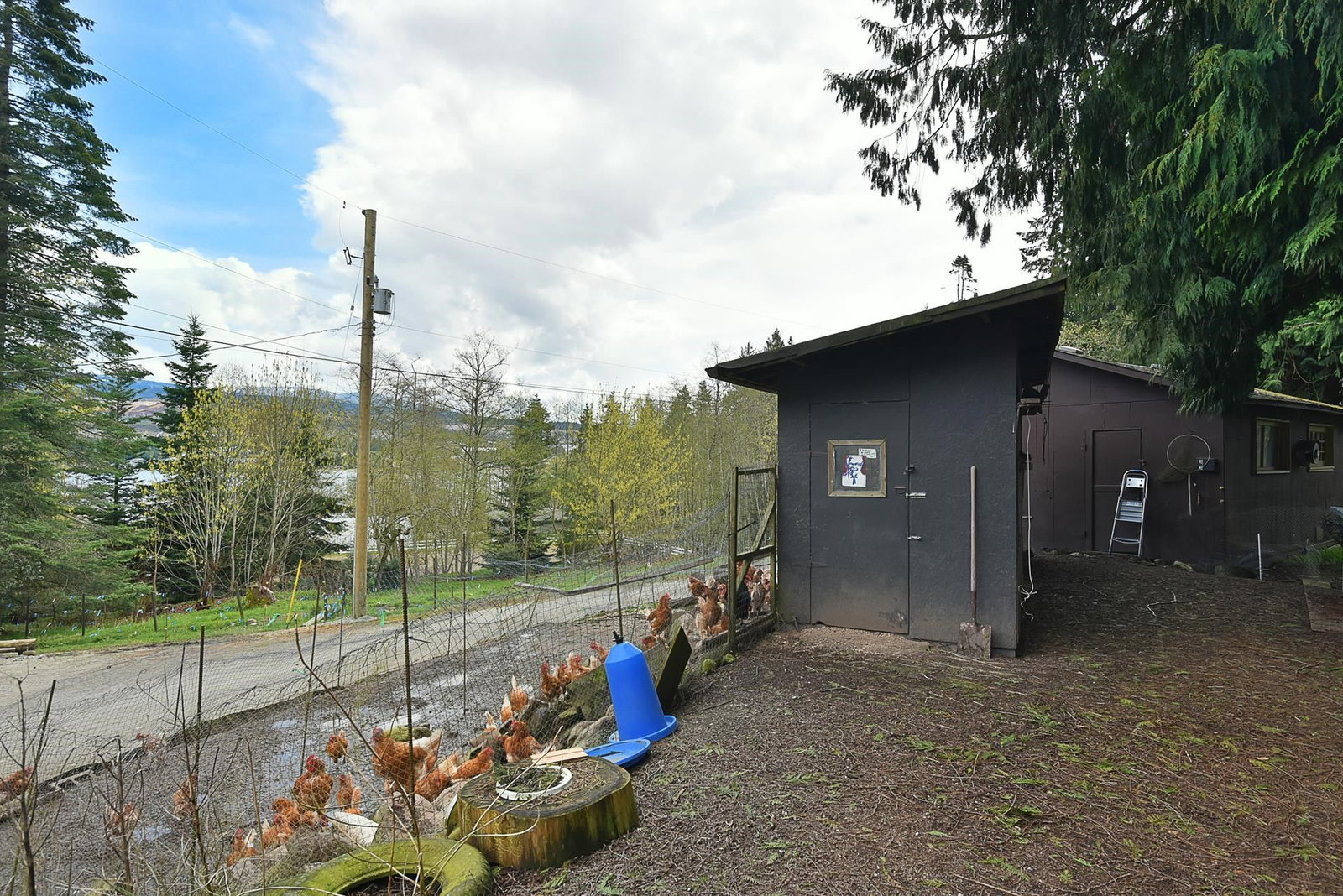 Listing Image 33