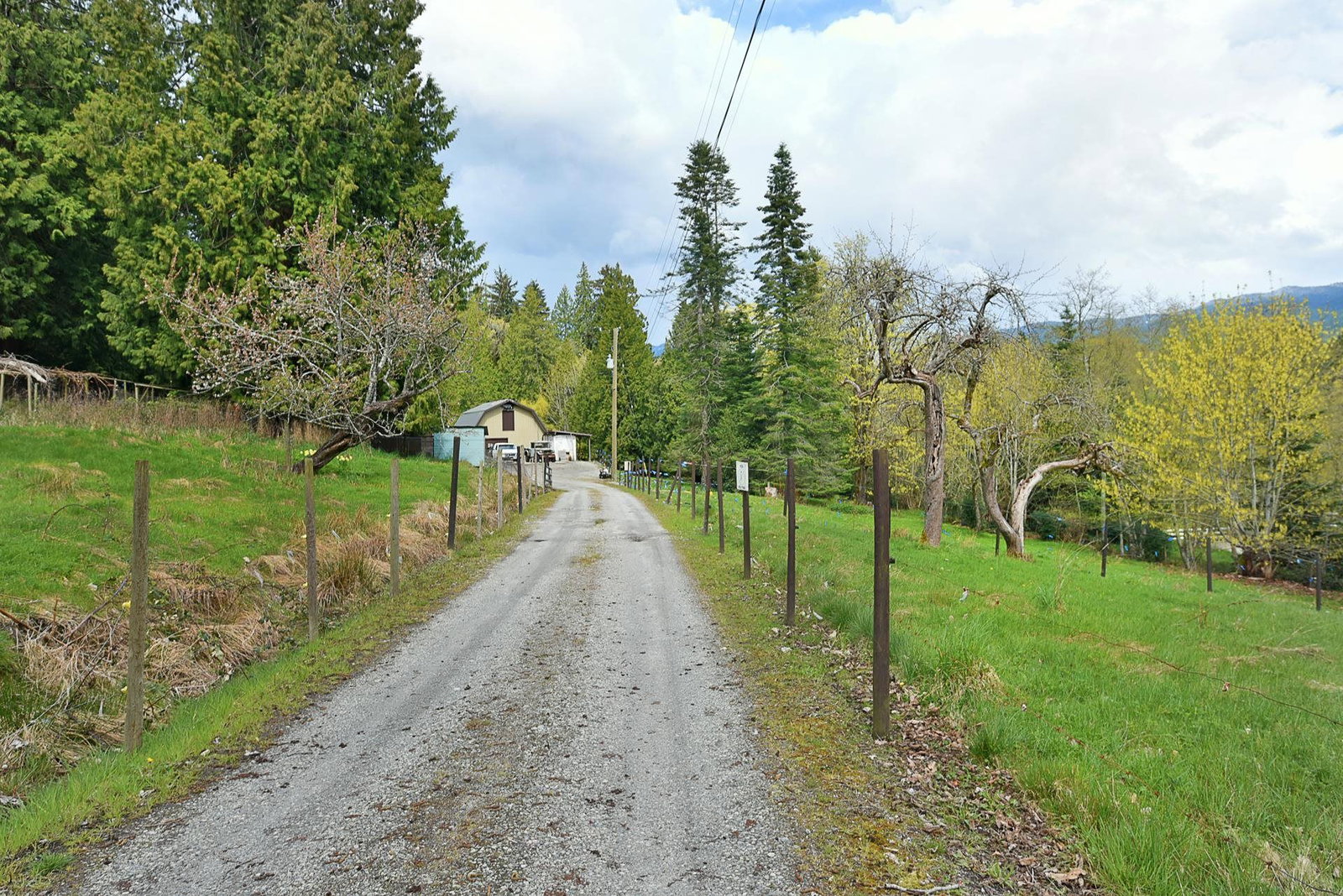 Listing Image 39