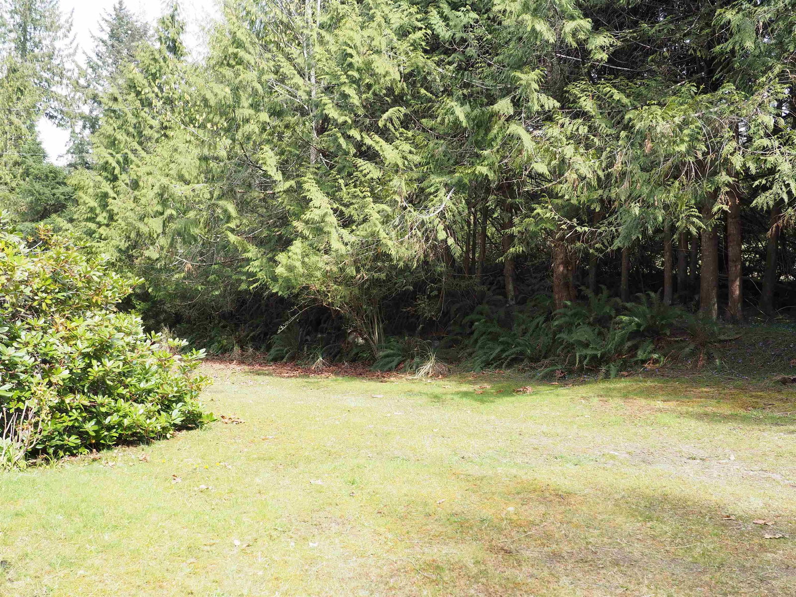 Listing Image 31